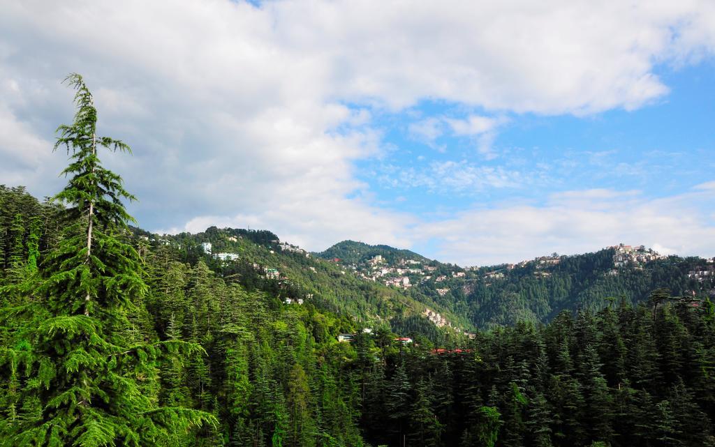 Vatsalyam Home Stay Shimla Exterior foto